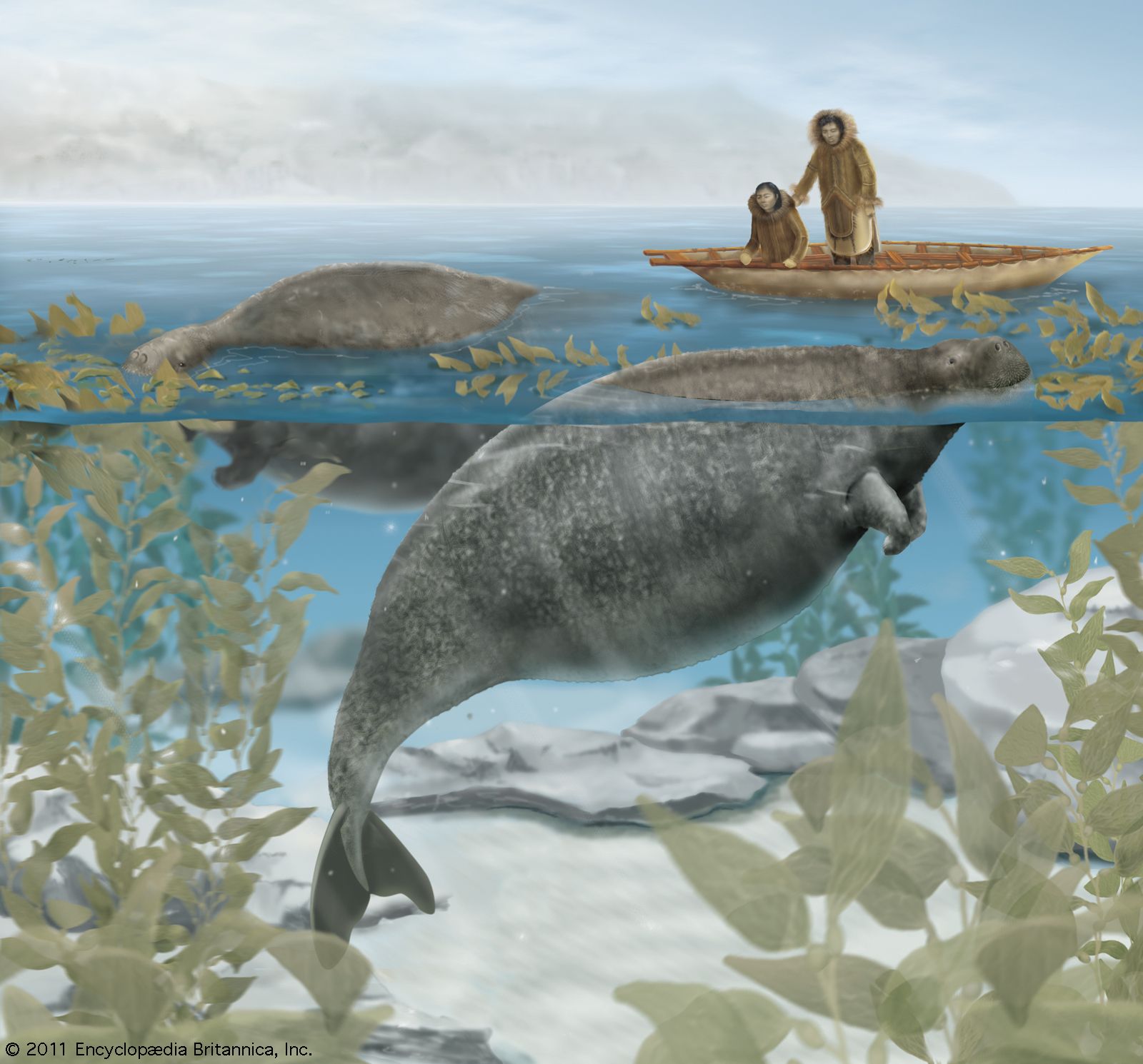 The Pet Tides