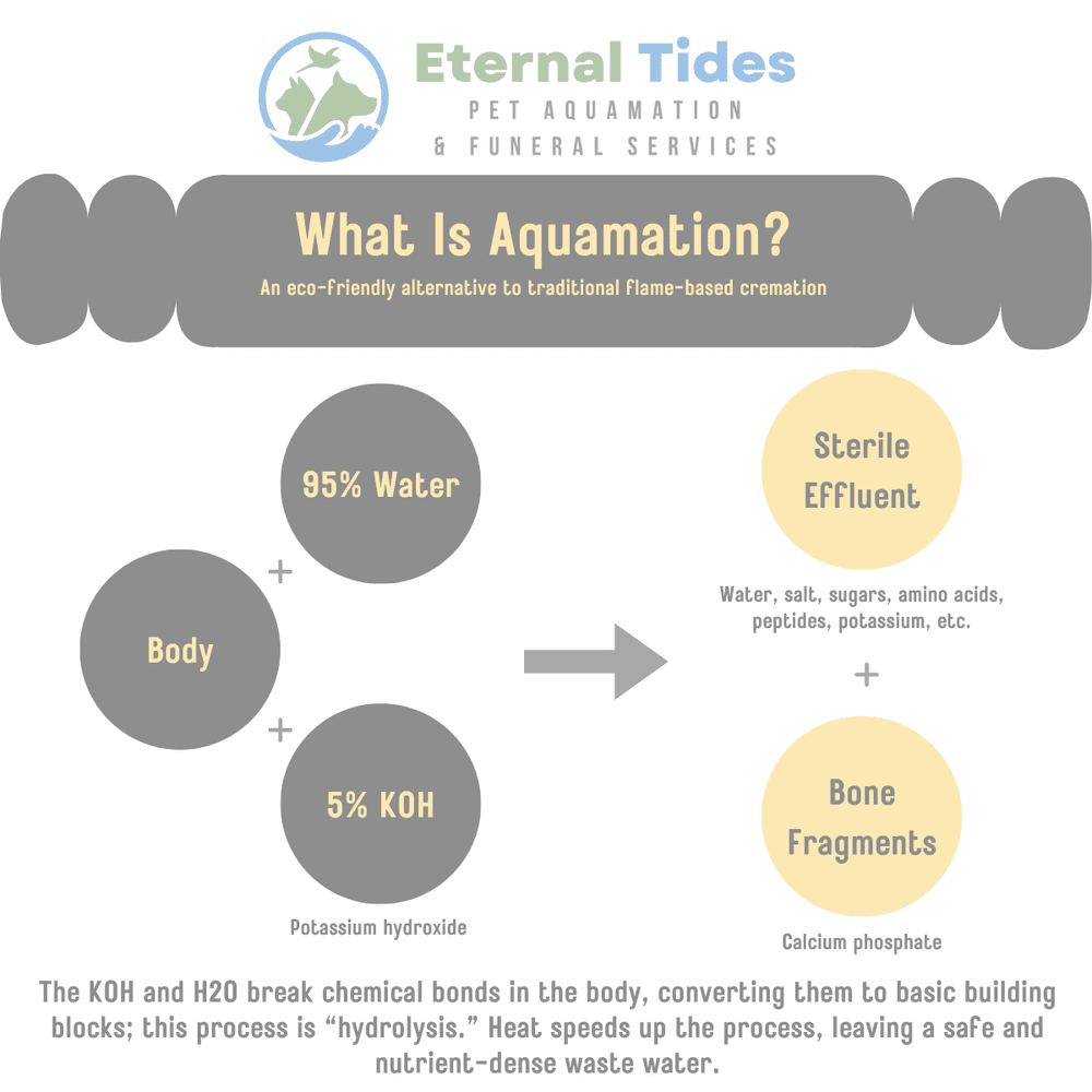Pet Tides