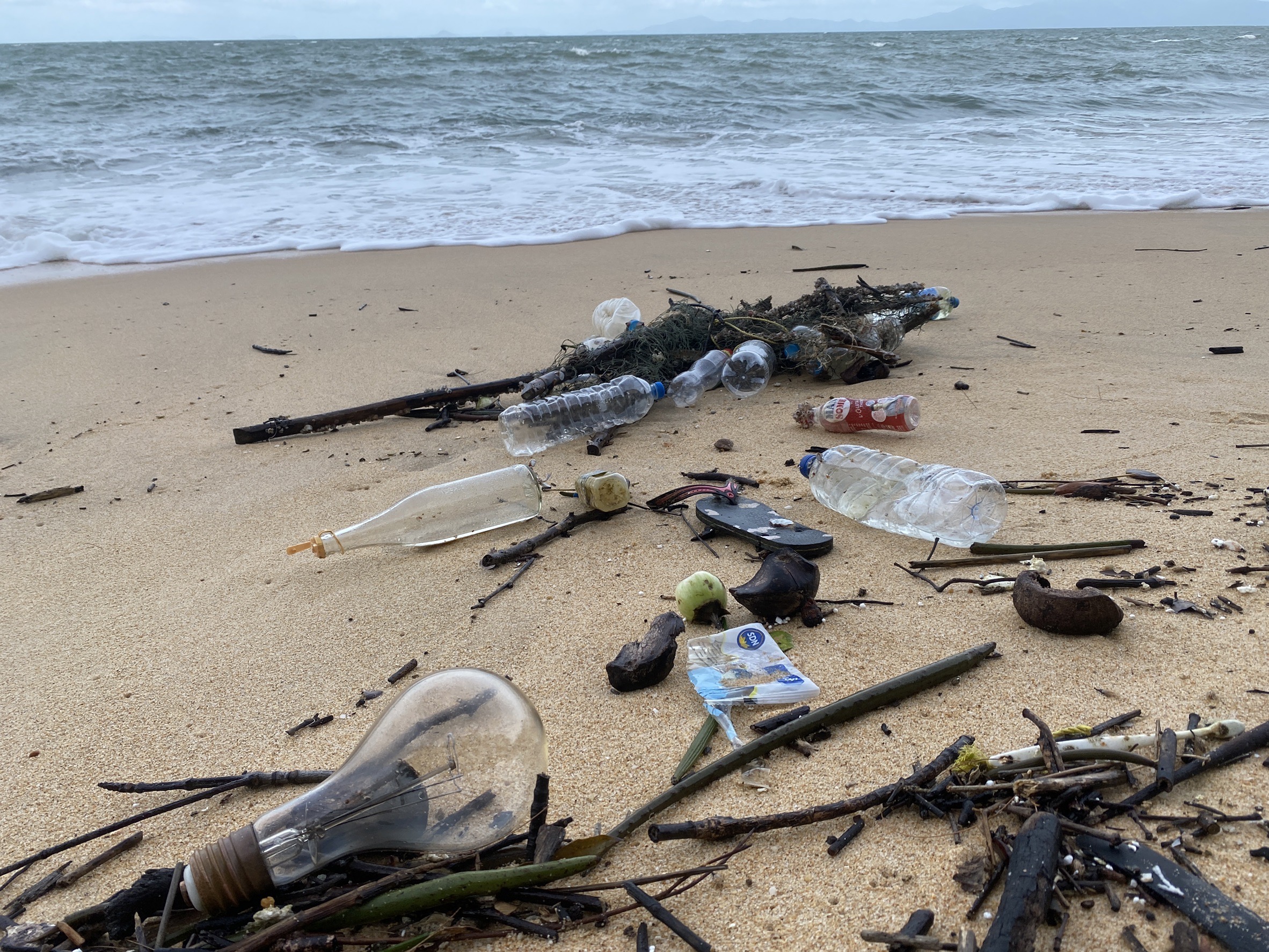 Pet Tides Analysis